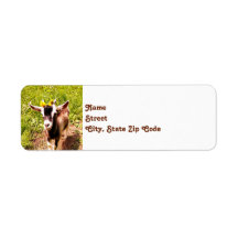 Baby Goat Return Address Labels