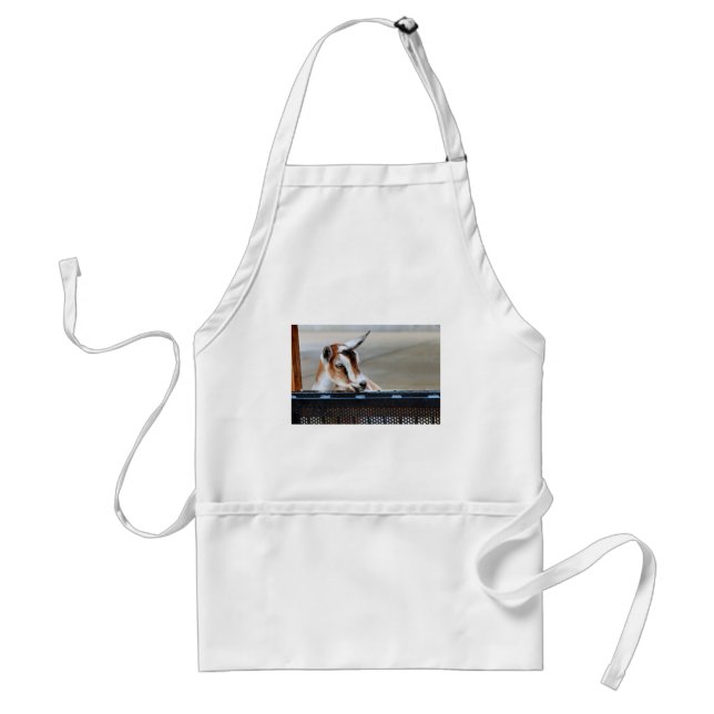 Baby Goat Standard Apron (Front)