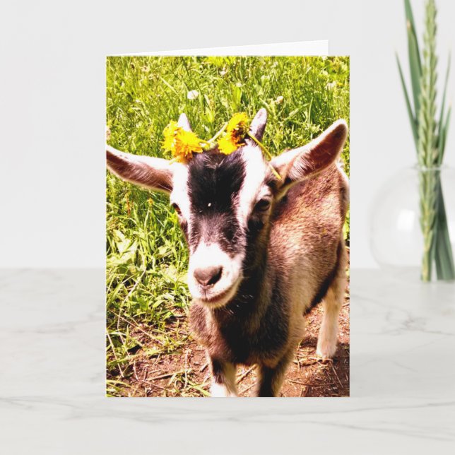 Baby Goat with Flowers - Blank Card (Front)