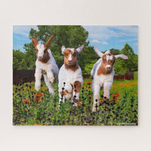 "Baby Goats" Jigsaw Puzzle