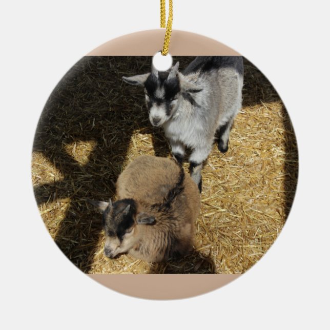 Baby Goats Ornament (Front)