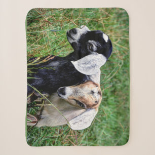 Baby Goats Sherpa Blanket