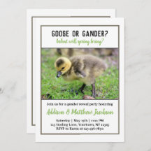 Baby Goose Genre Révéler Invitation
