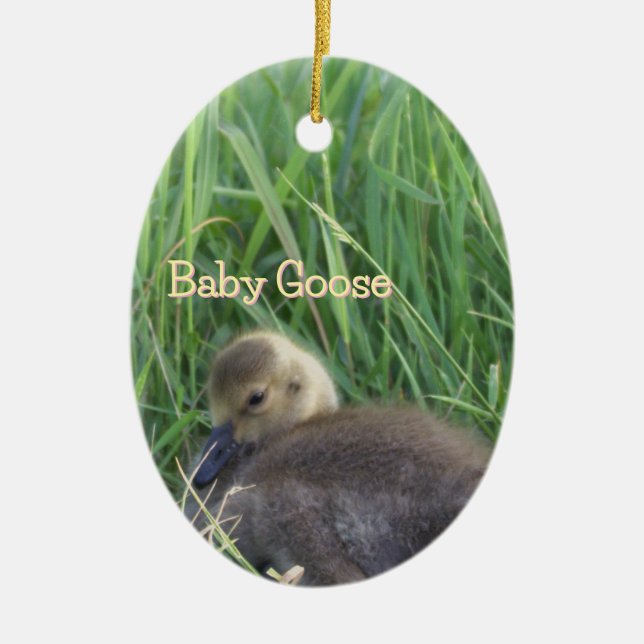 Baby Goose Ornament (Front)