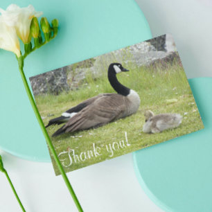 Baby Goose Photo Thank You Card