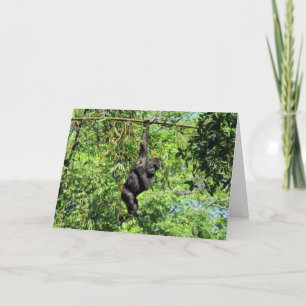 Baby Gorilla (2035) - Carte d'anniversaire