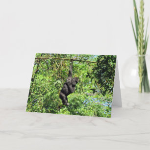 Baby Gorilla (2035) - Carte de voeux