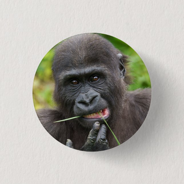 Baby Gorilla Cuteness 1 Inch Round Button (Front)