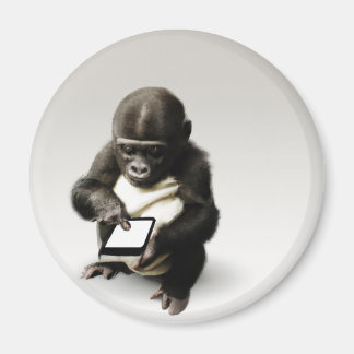 Baby gorilla Magnet / Chibi Gorilla Magnet Gorilla