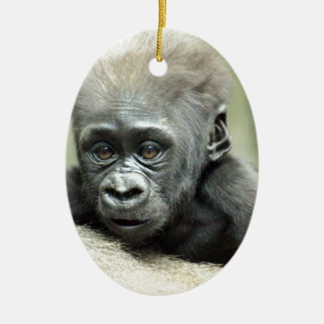 BABY GORILLA RELAXING CERAMIC ORNAMENT (Front)