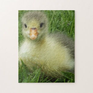  baby gosling jigsaw puzzle