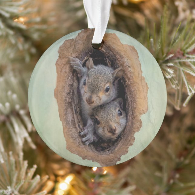 Baby Gray Squirrels Christmas Ornament (Tree)