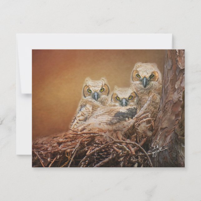 Baby Great Horned Owls Wildlife Photography Card (Front)