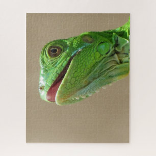 Baby Green Iguana Jigsaw Puzzle