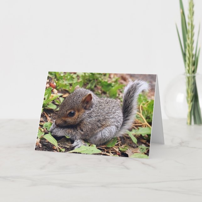 Baby Grey Card (Front)