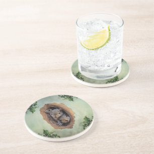 Baby Grey Squirrels Christmas Coaster