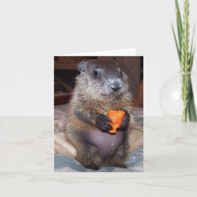 Baby Groundhog Maude Note Card (Front)