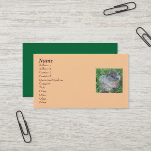 Baby Groundhog/Woodchuck Business Card