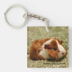 Baby Guinea Pig Keychain