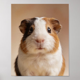 Baby Guinea Pig Portrait – Cute Nursery Animal Wal Poster