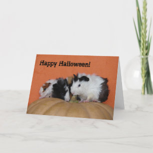 Baby Guinea Pigs, Happy Halloween! Card