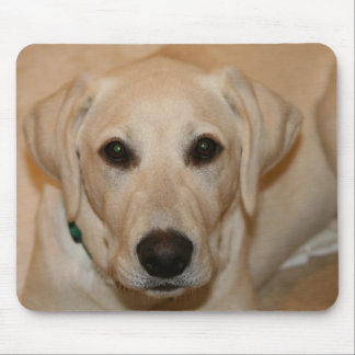 Baby Gus Mouse Pad