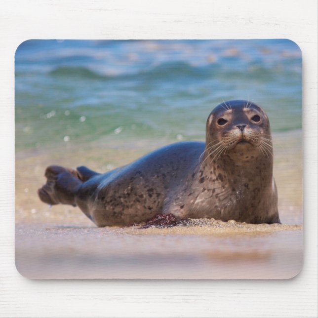 Baby Harbour Seal in Water Mouse Pad (Front)