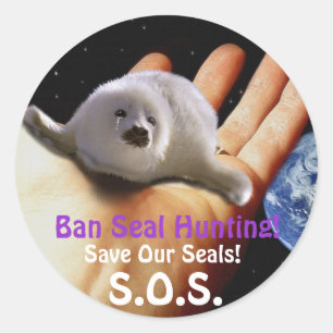 BABY HARP SEAL Anti Seal-Hunt Sticker