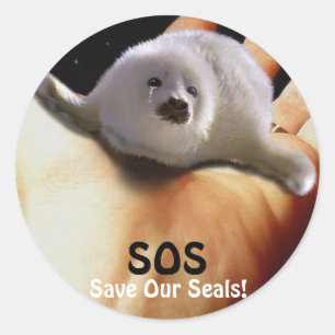 BABY HARP SEAL Anti Seal-Hunt Sticker