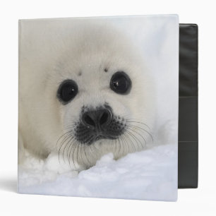 Baby Harp Seal Binder