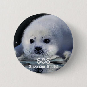 BABY HARP SEAL Button Design