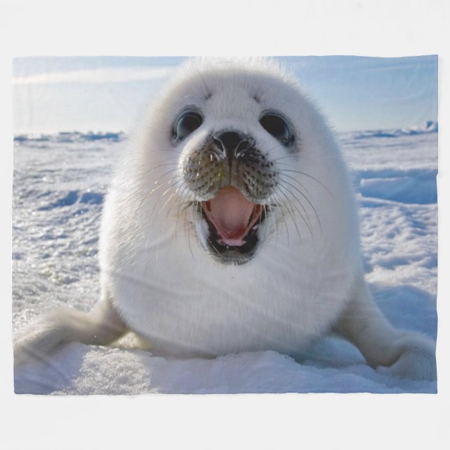 BABY HARP SEAL FLEECE BLANKET (Front (Horizontal))