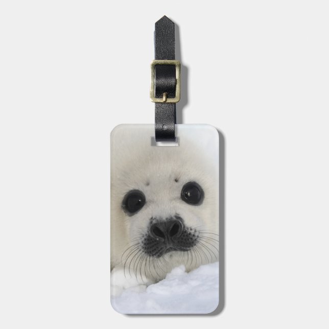 Baby Harp Seal Luggage Tag (Front Vertical)