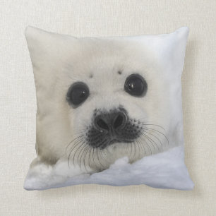 Baby Harp Seal Throw Pillow