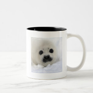 Baby Harp Seal Two-Tone Coffee Mug
