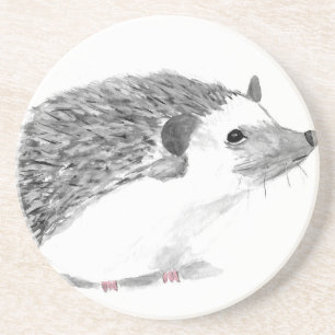 Baby hedgehog animal coaster