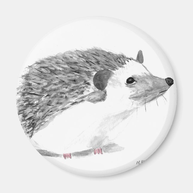 Baby hedgehog animal magnet (Front)