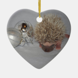 Baby Hedgehog Christmas Ornament