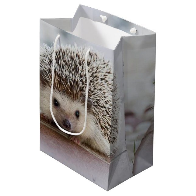 Baby hedgehog   medium gift bag (Front Angled)