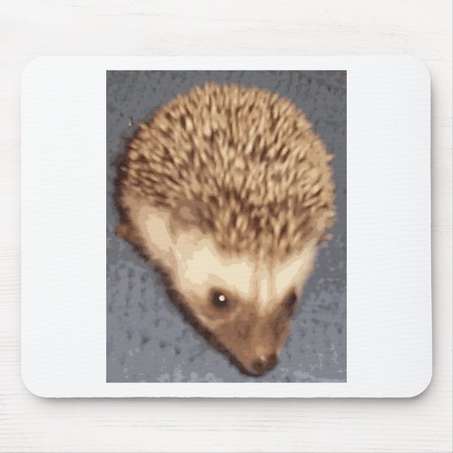 baby hedgehog mouse pad (Front)