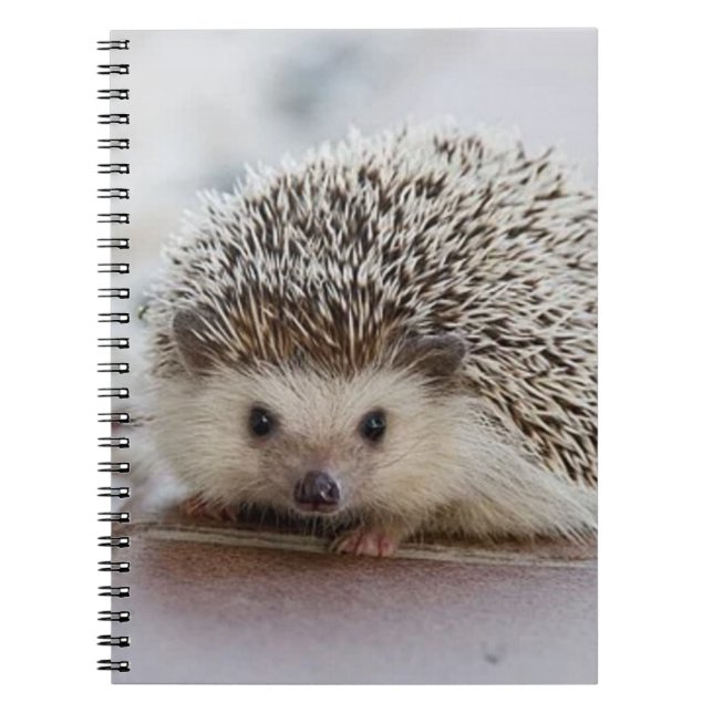 Baby hedgehog   notebook (Front)