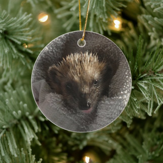 Baby Hedgehog on Blanket Ornament (Tree)