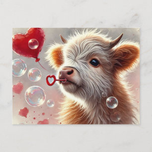 Baby Highland Cow Valentine  Postcard