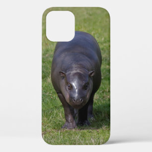 Baby Hippo iPhone 12 Case