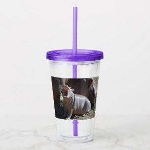 Baby Hippo Tumbler