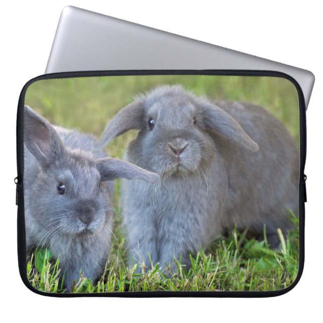 Baby Holland Lop Bunnies - Cute Rabbits Laptop Sleeve (Front)