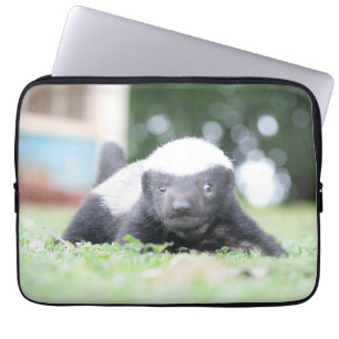 Baby honey badger laptop sleeve