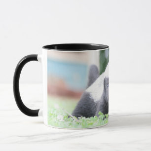 Baby honey badger on green grass photograph mug