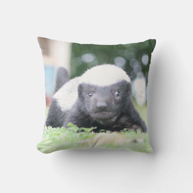 Baby honey badger throw pillow (Front)