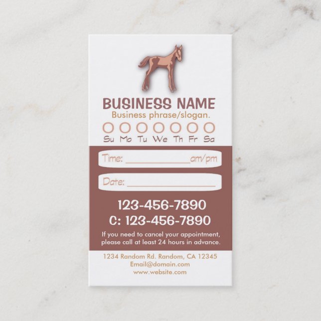 Baby horse veterinarian appointment cards (Front)